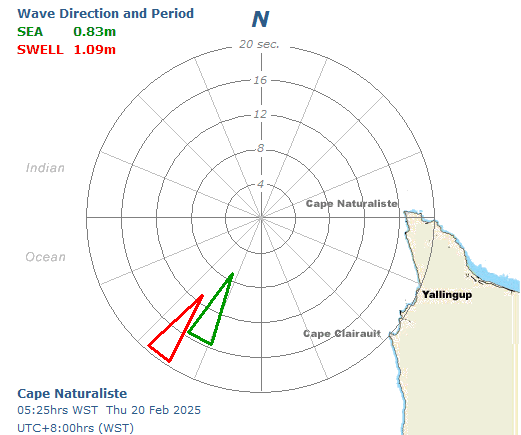 Naturaliste directional graph