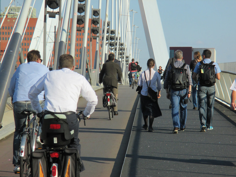 2014 Netherlands cycling study tour