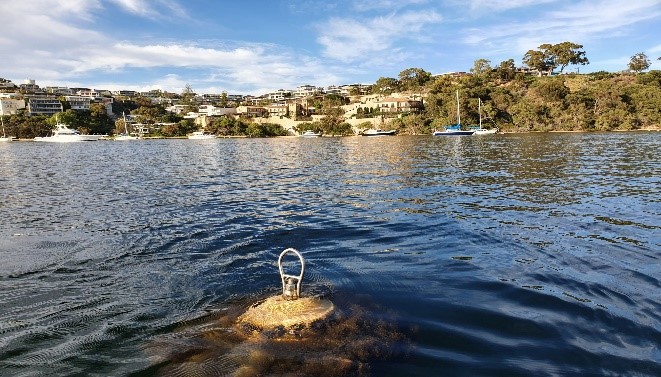 A swing mooring buoy with excess growth