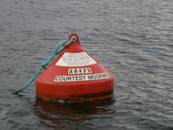 Courtesy moorings are red in colour and free to use by the general public with usage limitations.