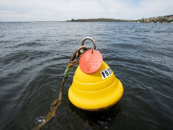 Commercial General moorings will display a red disc indicating they are not to be used by other vessels.