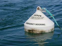 Emergency moorings are white in colour and may be used free of charge by vessel skippers only in emergency situations