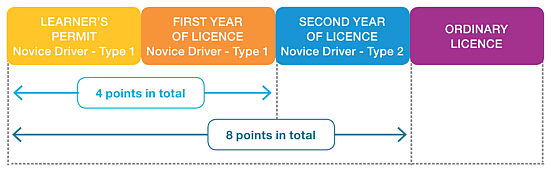 Diagram showing that you can accrue a total of 4 demerit points while on your learner's permit or first year of your licence, and 8 demerit points in total while on your provisional licence.